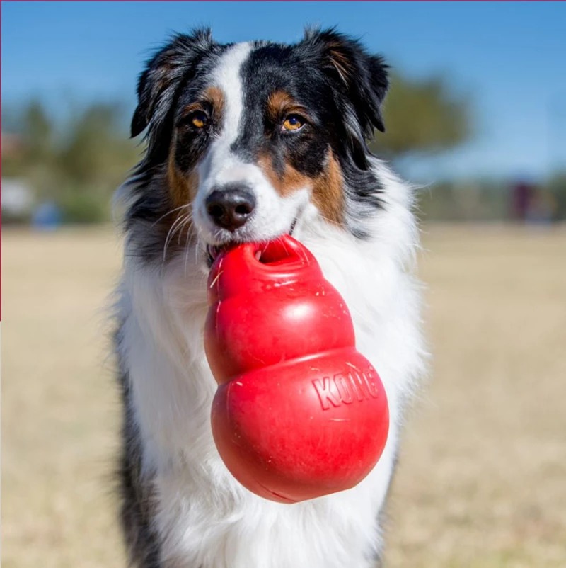 Classic Dog Toy