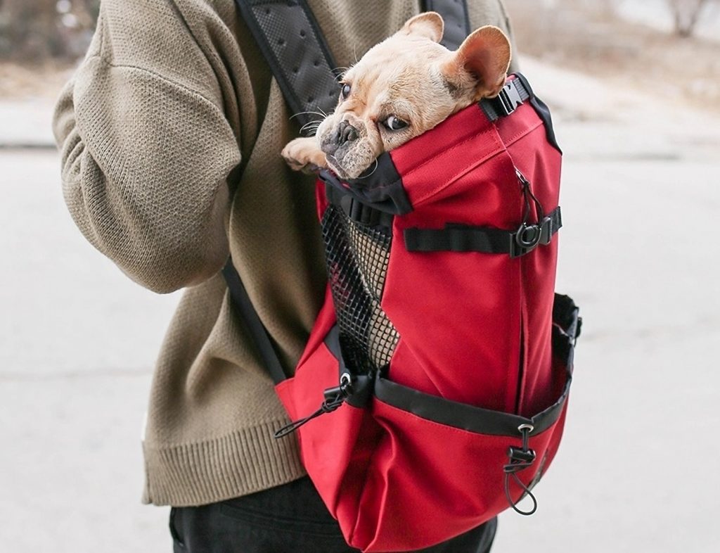 Best Camping Gear to Dropship