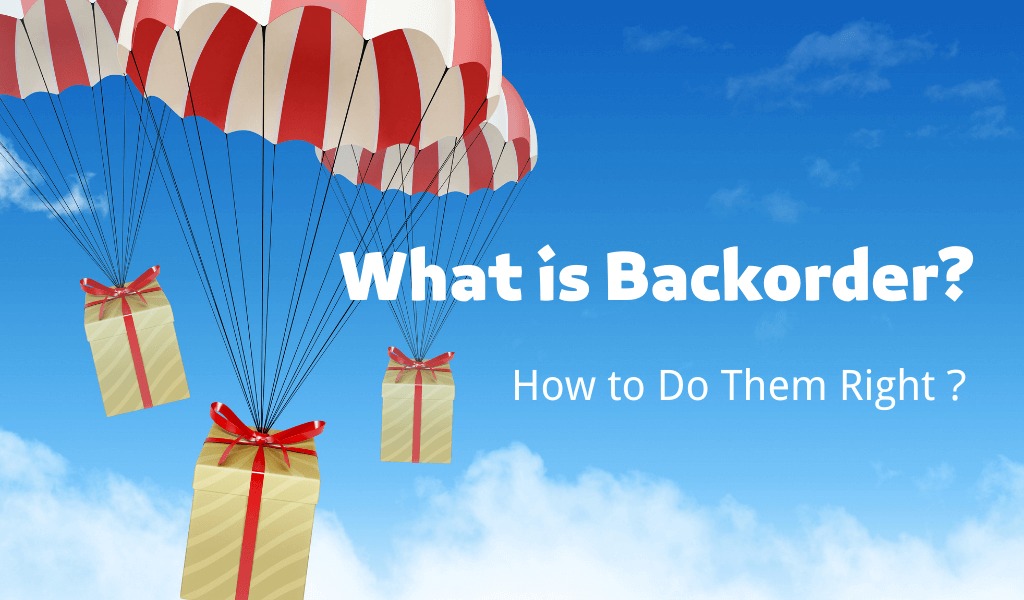 What Is The Meaning Of Backorder