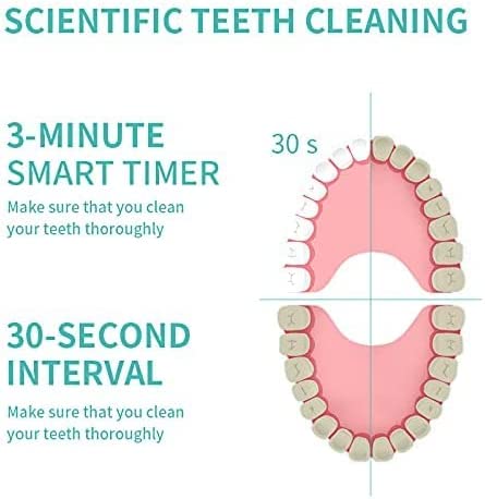 Electric Teeth Cleaning Kit5