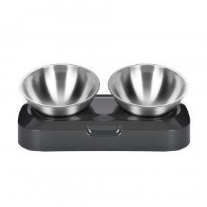 Stainless Steel Cat Bowls with Stand