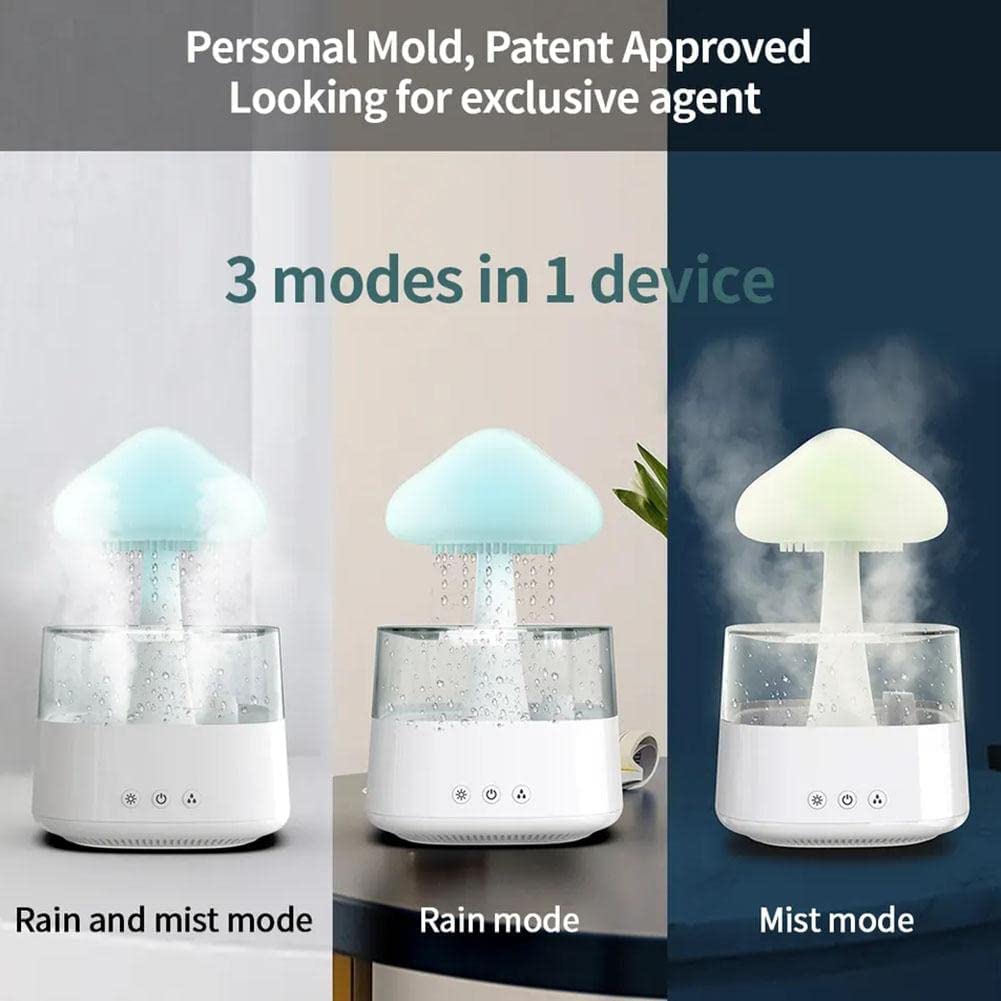 Rain Cloud Humidifier3
