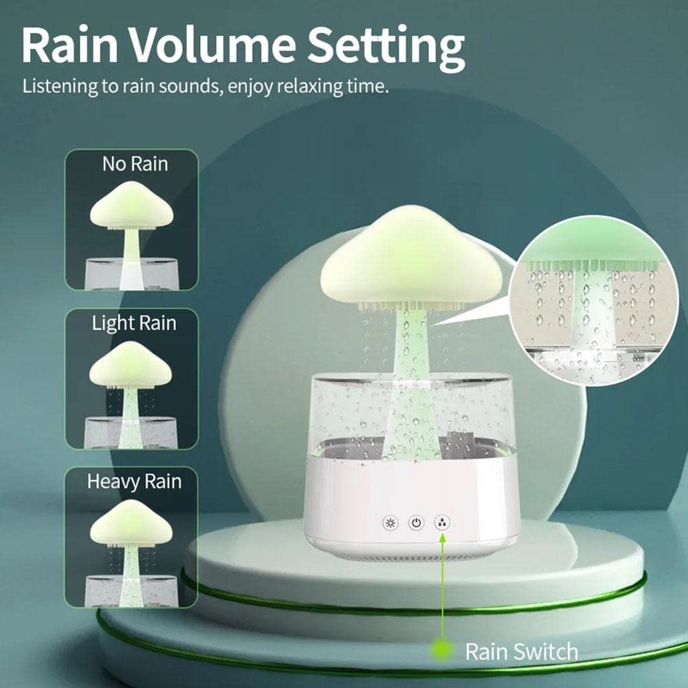 Rain Cloud Humidifier4
