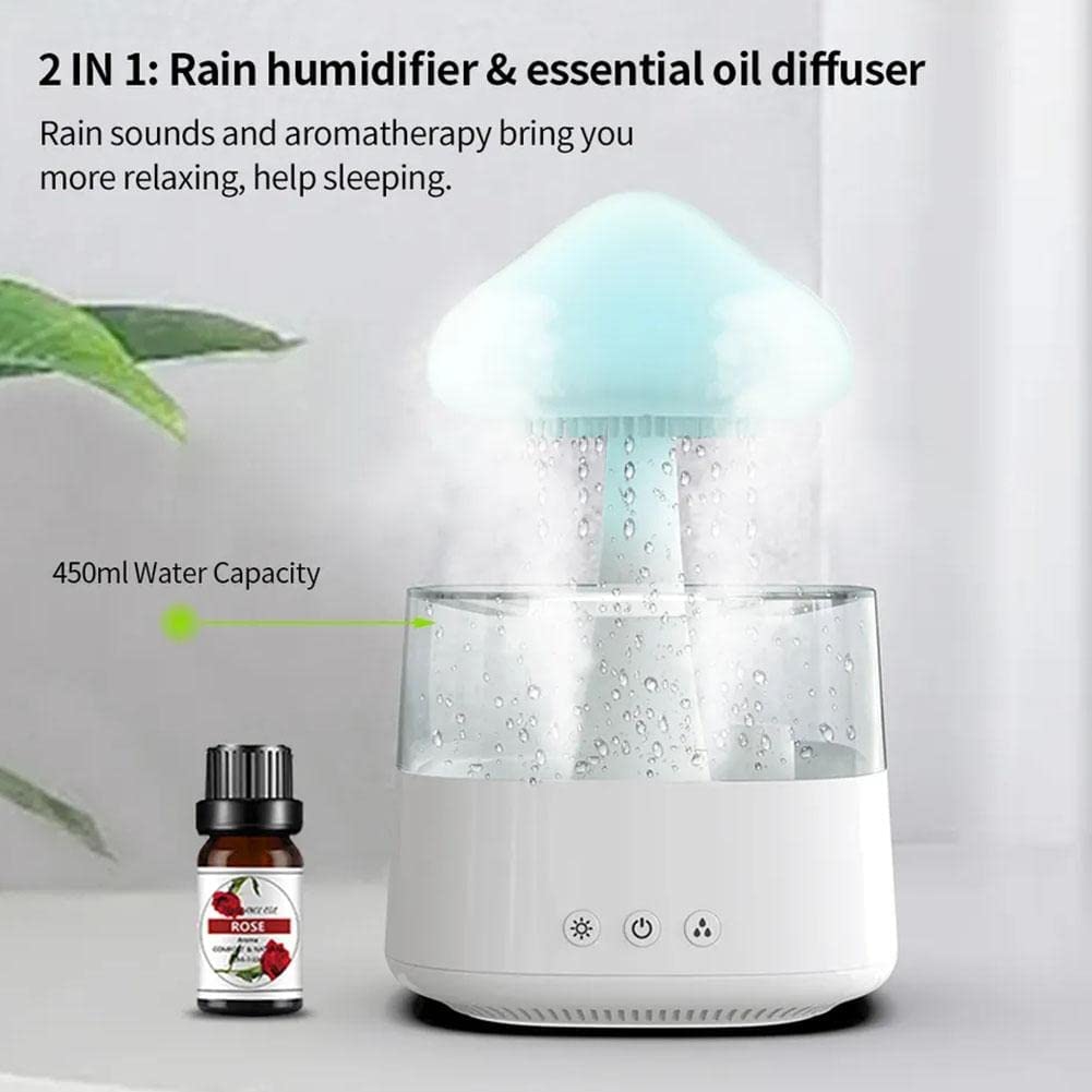 Rain Cloud Humidifier5