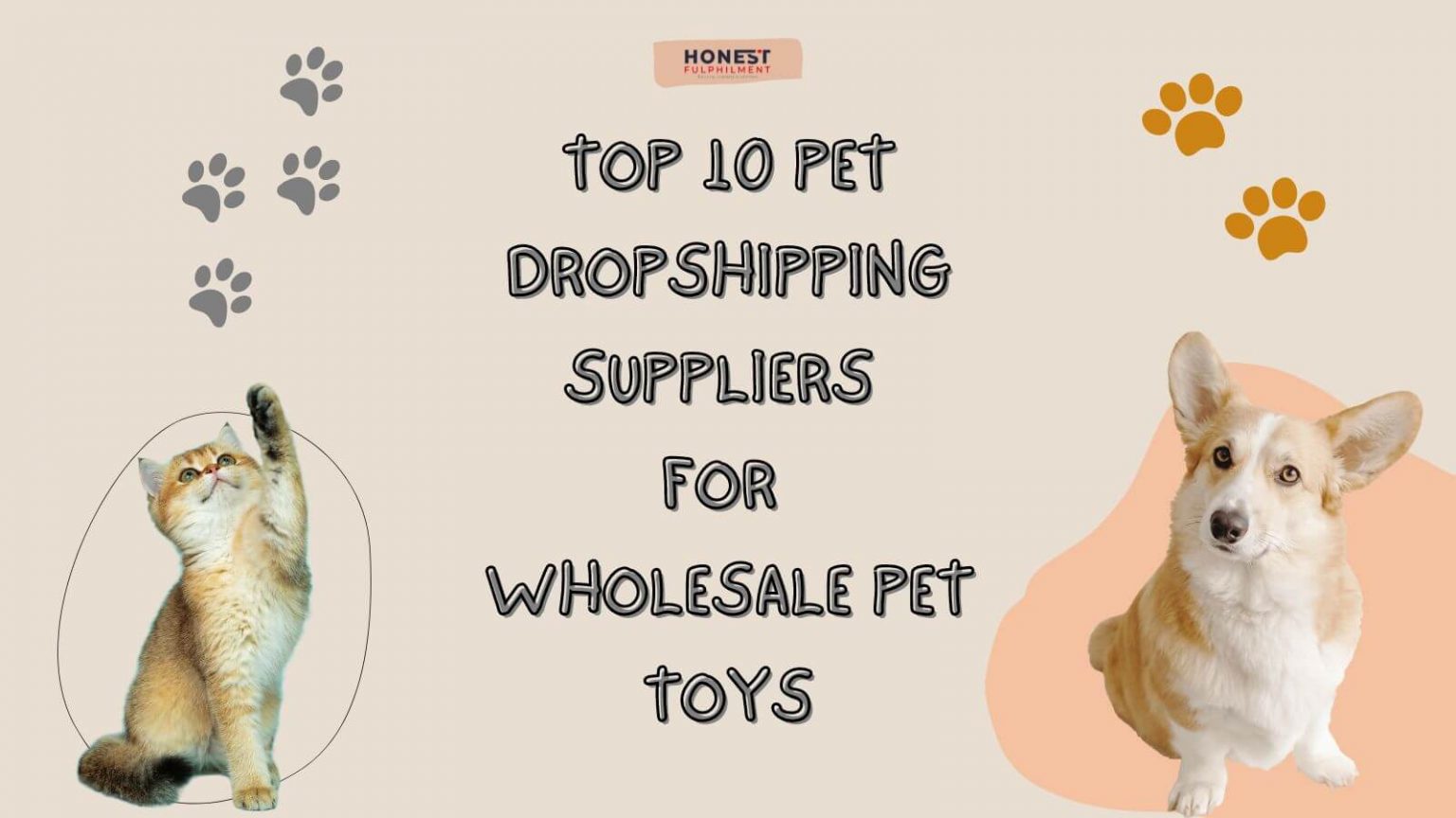 Top 10 Pet Dropshipping Suppliers For Wholesale Dog Toys